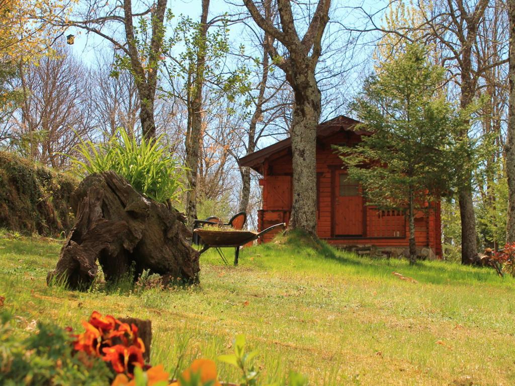 Cabanas De Madera Sanabria Vigo de Sanabria Exterior photo