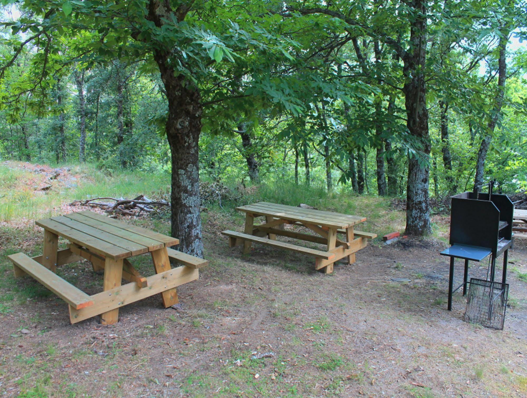 Cabanas De Madera Sanabria Vigo de Sanabria Exterior photo