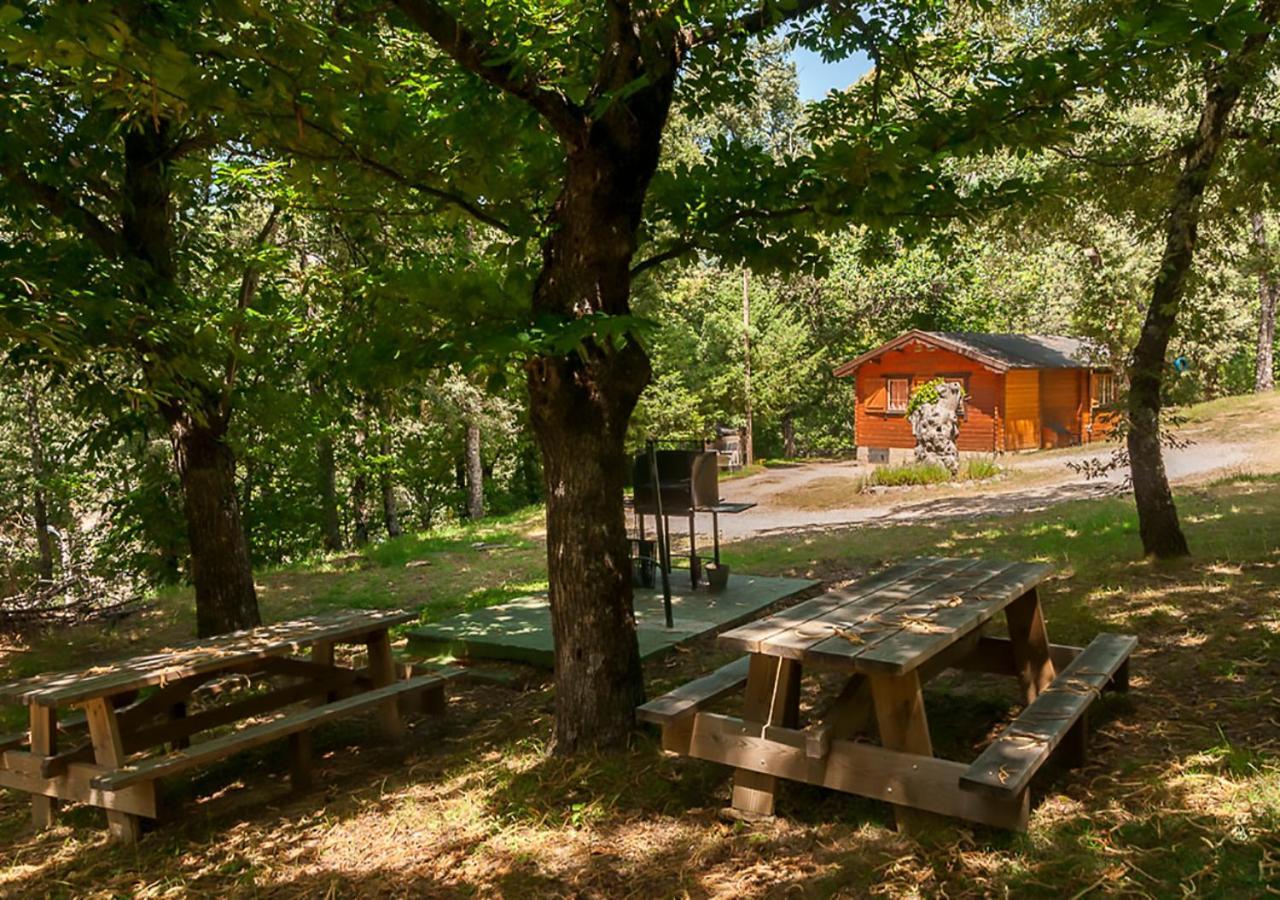 Cabanas De Madera Sanabria Vigo de Sanabria Exterior photo