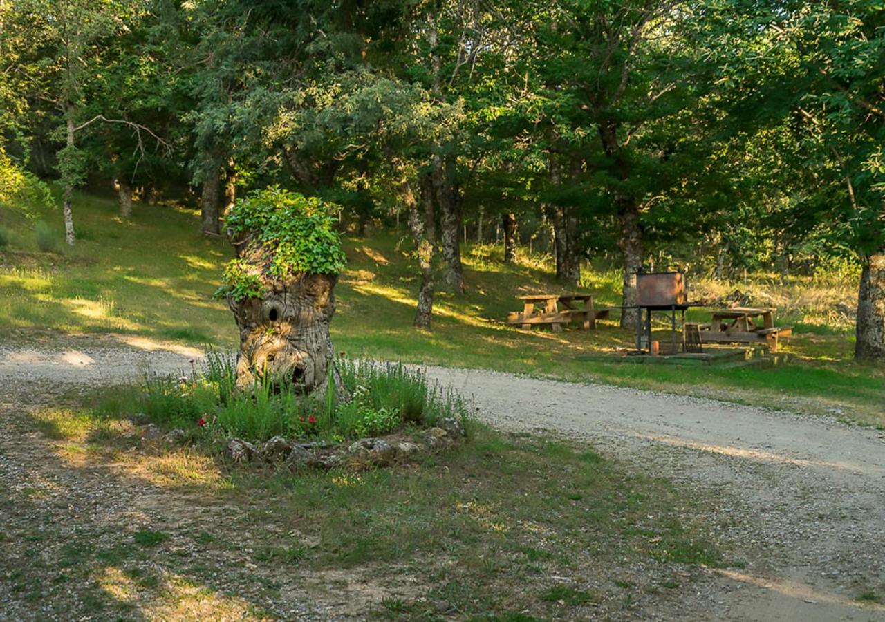 Cabanas De Madera Sanabria Vigo de Sanabria Exterior photo